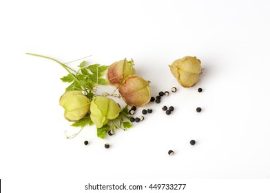 Cardiospermum Halicacabum Imagenes Fotos De Stock Y Vectores Shutterstock Cardiospermum Halicacabum Imagenes Fotos De Stock Y Vectores Shutterstock