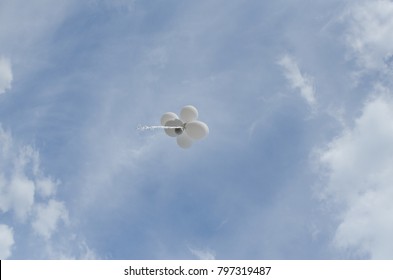 Balloons are flying up