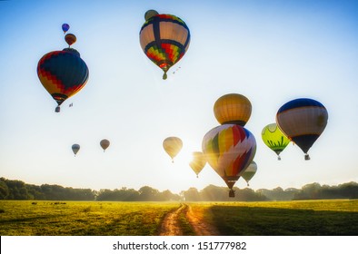 A lot of balloons start they flight over field and forest
