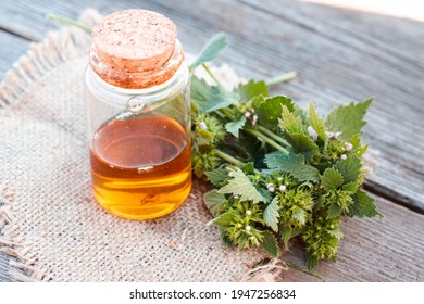 Ballota nigra, black horehound fresh flowers collected in meadow and a ready-made elexir or medicinal drink in a transparent jar. collect herbs for preparation of tincture. mortar to rub flowers.