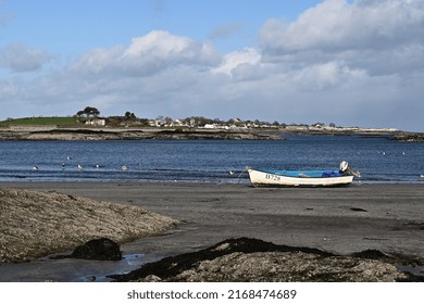 Ballywalter, Ards Peninsula, Nothern Ireland