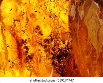 Baltic Amber, Resin Segments,background Or Texture