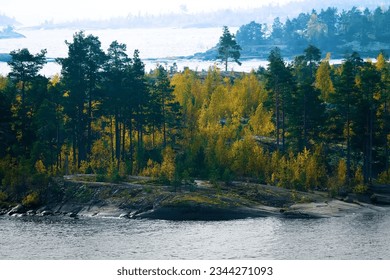 Baltic crystalline shield, esker. Glaciated landscape (glacial plaining). Stone cape, sheepback rock with small autumn birch, dwarf pines in North Ladoga lake (Ladoga skerries)