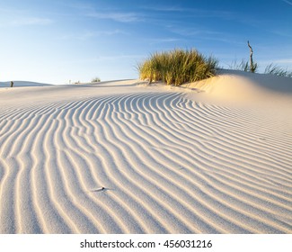 Baltic Sea