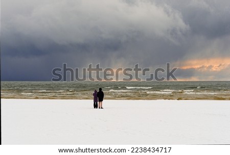 Baltic Sea beach in snowy winter. Falling snow from the clouds.