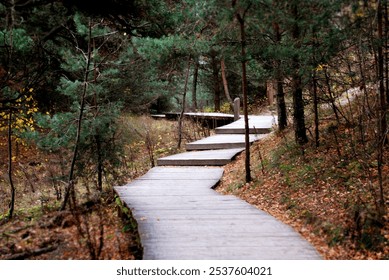 Baltic Sea, beach, walking path, sand, storm damage, coastal erosion, coast, sand covered bench, nature, ocean view, winter storm, beach path, outdoors, serene, landscape, sea, sand dunes, weathered,  - Powered by Shutterstock