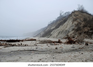 Baltic Sea, beach, walking path, sand, storm damage, coastal erosion, coast, sand covered bench, nature, ocean view, winter storm, beach path, outdoors, serene, landscape, sea, sand dunes, weathered,  - Powered by Shutterstock