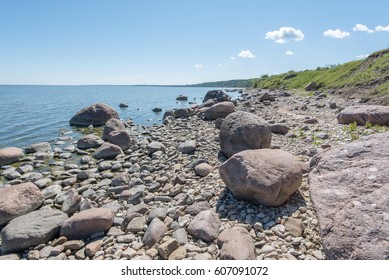 Baltic Sea Coast In The Summer. Estonia.