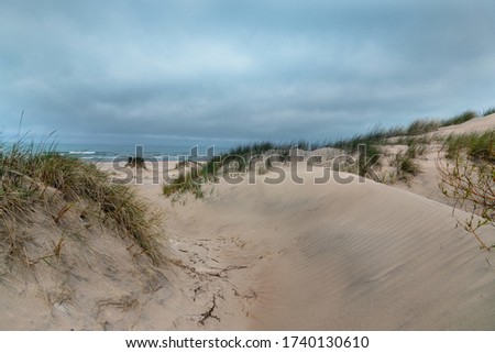 Similar – Image, Stock Photo winter beach Landscape