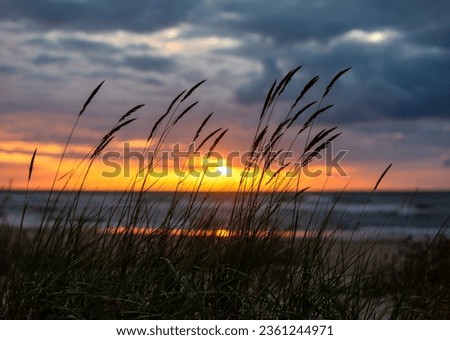 The Baltic Sea in the evening when the sun sets. Sunset by the sea. In the foreground are the sables. Beautiful landscape with the sea at sunset. Baltic sea beach in beautiful light.