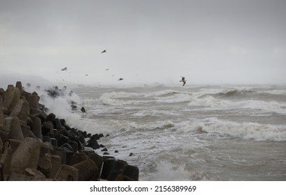 Baltic sea in a fog. Waves, splashing water, storm. Breakwaters, flying seagulls. Picturesque panoramic monochrome scenery, seascape. Nature, environment, rough weather, danger