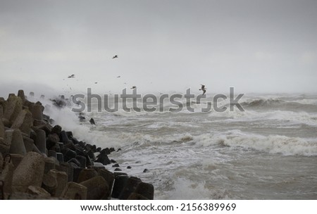 Baltic sea in a fog. Waves, splashing water, storm. Breakwaters, flying seagulls. Picturesque panoramic monochrome scenery, seascape. Nature, environment, rough weather, danger