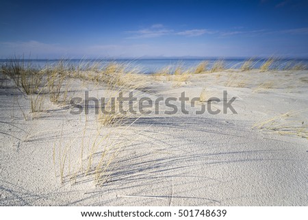 Similar – Image, Stock Photo Dune with sea view Freedom