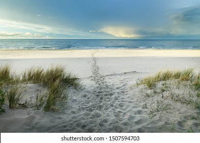 Baltic Sea On The Polish Coast With Dune Grass