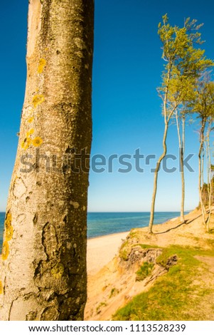 Similar – Image, Stock Photo Baltic Sea coast in Poland