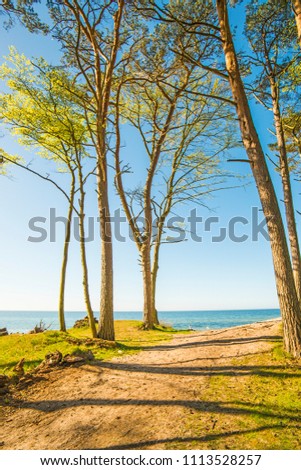 Foto Bild Ostseeküste in Polen