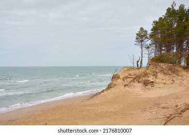 Baltic Sea Shore After The Rain. Sand Dunes, Dune Grass, Lonely Pine Trees. Blue Sky, Glowing Clouds, Wind. Picturesque Panoramic Scenery. Nature, Environment, Fickle Weather, Cyclone