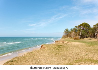 Baltic Sea Shore After The Rain. Sand Dunes, Dune Grass, Lonely Pine Trees. Blue Sky, Glowing Clouds, Wind. Picturesque Panoramic Scenery. Nature, Environment, Fickle Weather, Cyclone