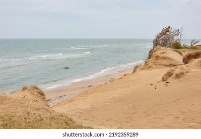 Baltic Sea Shore After The Rain. Sand Dunes, Dune Grass, Lonely Pine Trees. Blue Sky, Glowing Clouds, Wind. Picturesque Panoramic Scenery. Nature, Environment, Fickle Weather, Cyclone