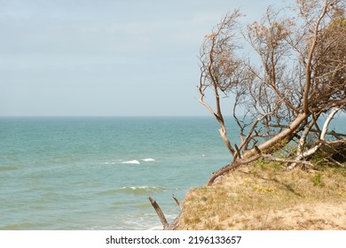 Baltic Sea Shore After The Rain. Sand Dunes, Dune Grass, Lonely Pine Trees. Blue Sky, Glowing Clouds, Wind. Picturesque Panoramic Scenery. Nature, Environment, Fickle Weather, Cyclone