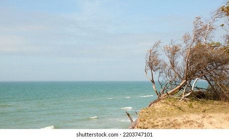 Baltic Sea Shore After The Rain. Sand Dunes, Dune Grass, Lonely Pine Trees. Blue Sky, Glowing Clouds, Wind. Picturesque Panoramic Scenery. Nature, Environment, Fickle Weather, Cyclone