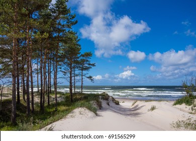 Baltic sea shore in Latvia. Sand dunes with pine trees and clouds. Typical Baltic beach landscape - Powered by Shutterstock