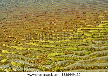 Similar – bathing fun Colour photo