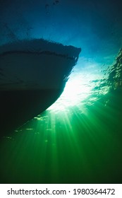 In The Baltic Sea Underwater Life