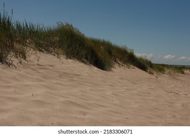 The Baltic Sea, Wild Coastal Dunes