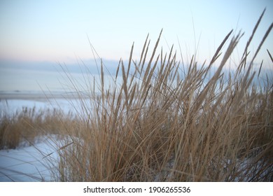 Baltic Sea Winter Beach In Snow