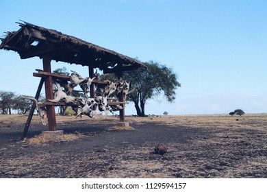 Baluran National Park Banyuwangi Indonesia