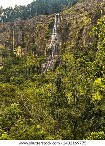 Bambarakanda waterfalls in srilanka very beautiful 