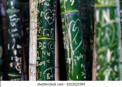 bamboo art graffiti background wallpaper jungle forest - Powered by Shutterstock