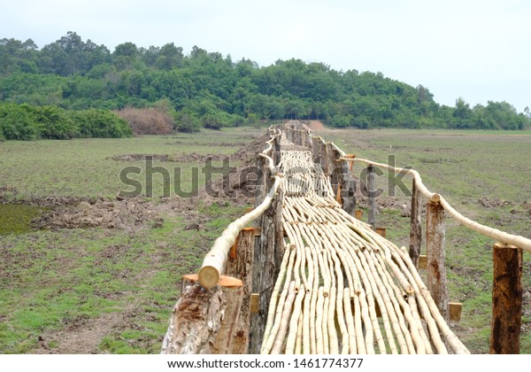 The\
bamboo bridge in the community helping to\
create