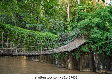 Bamboo bridge in deep forest