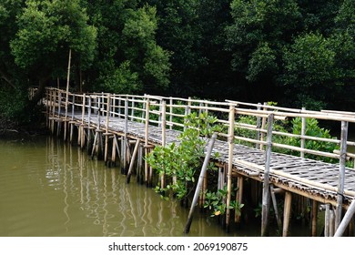 Hutan mangrove pik