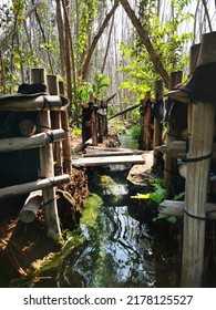 Bamboo Bridge Over A Small Water Stream.