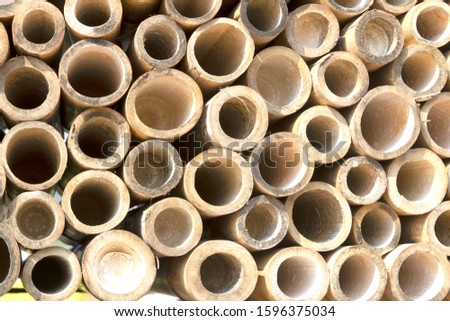Bamboo circle cross section texture for background