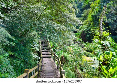 Bamboo creek trail hiking in Chiayi, Taiwan
