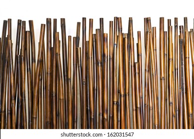 Bamboo Fence