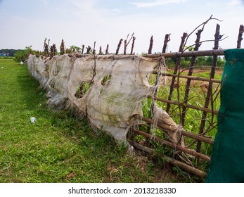 Bamboo Fence To Limit The Area Of Community Garden Fields With Public Fields.