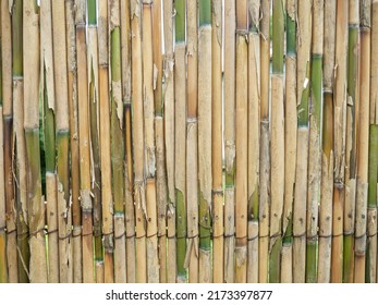 Bamboo Fence. Fence Made Of Thin Green Bamboo. Strong Fence. Palisade. Background Of Dry And Fresh Bamboo. Wall Of Stems
