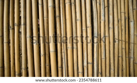 bamboo fence, Bamboo twig wall as abstract background .