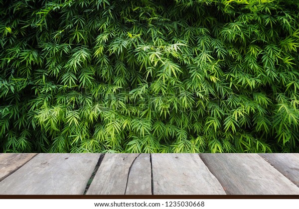 Bamboo Field Wall Background Zen Style Stock Photo Edit Now