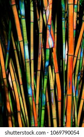 Bamboo forest abstract rendition close-up in multi-color