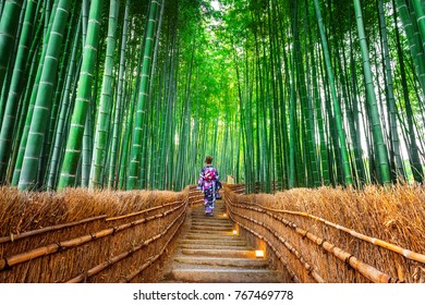 Bamboo Forest. Asian woman wearing japanese traditional kimono at Bamboo Forest in Kyoto, Japan.