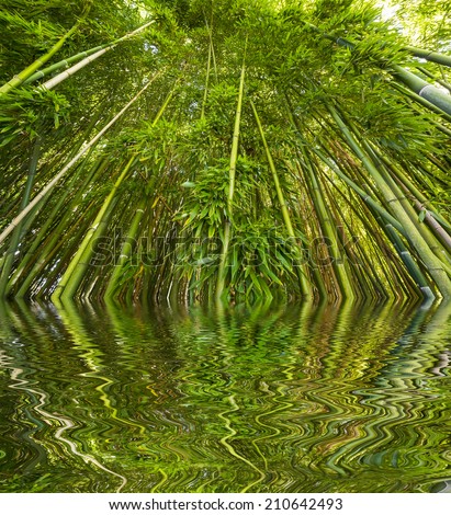 Similar – der Blautopf in Blaubeuren