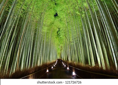 The Bamboo Forest Of Kyoto, Japan.