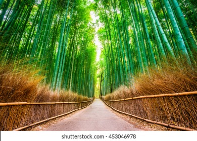 Bamboo Forest of Kyoto, Japan. - Powered by Shutterstock