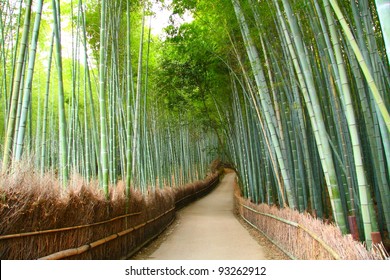 Bamboo Forest In Kyoto, Japan.